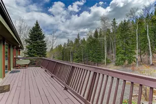 2720 South Spring Gulch Road, Idaho Springs, CO 80452 - Photo 9