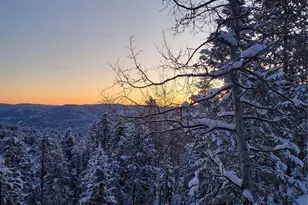 32462 Lodgepole Dr, Evergreen, CO 80439 - Photo 45