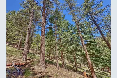 796 N Matterhorn Circle, Westcliffe, CO 81252 - Photo 23