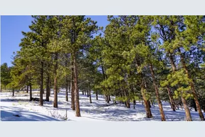 796 N Matterhorn Circle, Westcliffe, CO 81252 - Photo 33