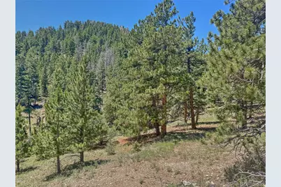 796 N Matterhorn Circle, Westcliffe, CO 81252 - Photo 9