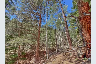 796 N Matterhorn Circle, Westcliffe, CO 81252 - Photo 27