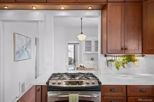 1038 E 4th Ave, Denver, CO 80218 - Photo 21