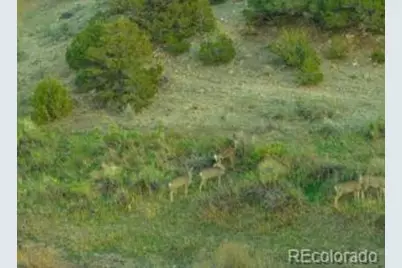 640 County Rd 571, Gardner, CO 81040 - Photo 5