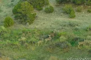 640 County Rd 571, Gardner, CO 81040 - Photo 5