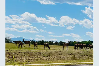 6346 Rockingham Court, Castle Pines, CO 80108 - Photo 39