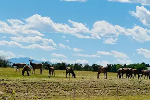 6346 Rockingham Ct, Castle Pines, CO 80108 - Photo 39