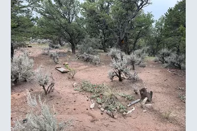 7863 Platten Road, Fort Garland, CO 81133 - Photo 9