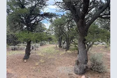 7863 Platten Road, Fort Garland, CO 81133 - Photo 3