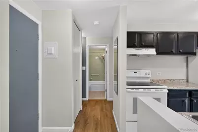 937 N Clarkson Street #306, Denver, CO 80218 - Photo 13