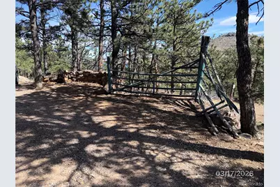 433 Gunn Avenue, Berthoud, CO 80513 - Photo 13