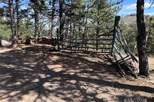 433 Gunn Ave, Berthoud, CO 80513 - Photo 13