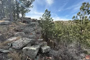 433 Gunn Ave, Berthoud, CO 80513 - Photo 15