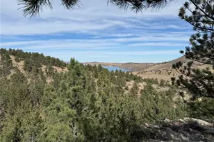 433 Gunn Ave, Berthoud, CO 80513 - Photo 21