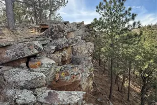 433 Gunn Ave, Berthoud, CO 80513 - Photo 17