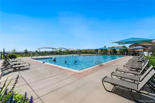 8704 Yucca St, Arvada, CO 80007 - Photo 21