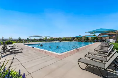 8704 Yucca Street, Arvada, CO 80007 - Photo 7