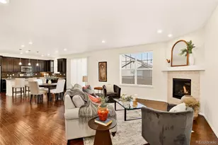 8813 Sassafras St, Parker, CO 80134 - Photo 5