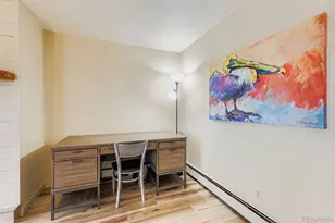 91300 Ryan Gulch Rd, Silverthorne, CO 80498 - Photo 11