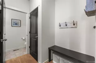 982 Cascade Falls St, Windsor, CO 80550 - Photo 7
