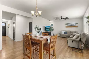 982 Cascade Falls St, Windsor, CO 80550 - Photo 17