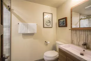 187 N Fuller Placer Road, Breckenridge, CO 80424 - Photo 19