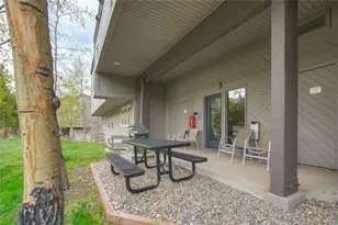187 N Fuller Placer Road, Breckenridge, CO 80424 - Photo 39