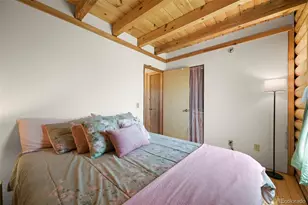 323 Singletree Ct, Hartsel, CO 80449 - Photo 13