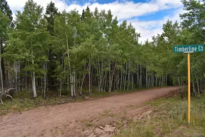 205 Timberline Drive, Guffey, CO 80820 - Photo 23