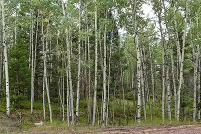 205 Timberline Drive, Guffey, CO 80820 - Photo 17