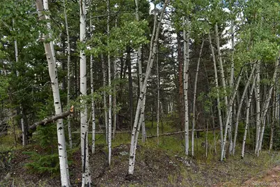 205 Timberline Drive, Guffey, CO 80820 - Photo 21