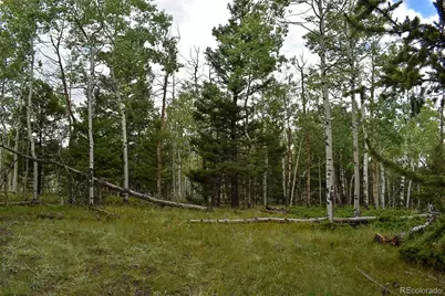 205 Timberline Drive, Guffey, CO 80820 - Photo 11