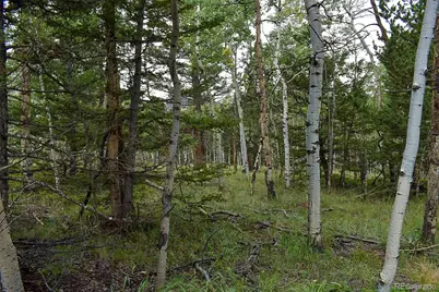 205 Timberline Drive, Guffey, CO 80820 - Photo 3