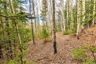 55780 Highway 9, Fairplay, CO 80440 - Photo 19