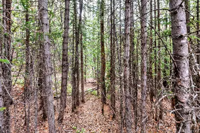 55780 Highway 9, Fairplay, CO 80440 - Photo 35