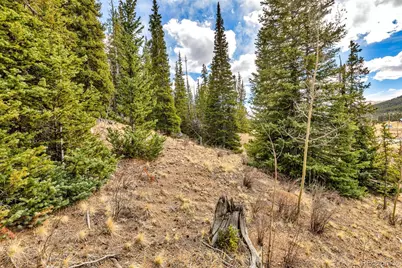 55780 Highway 9, Fairplay, CO 80440 - Photo 23