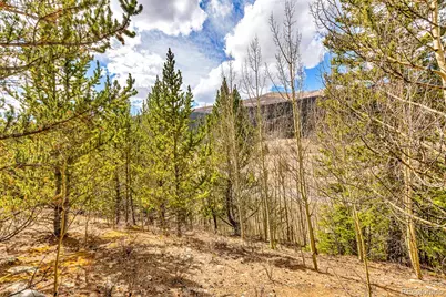 55780 Highway 9, Fairplay, CO 80440 - Photo 13