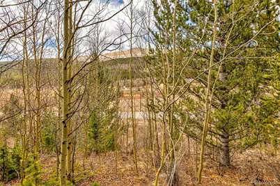 55780 Highway 9, Fairplay, CO 80440 - Photo 3