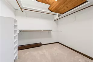 24386 Currant Dr, Golden, CO 80401 - Photo 29