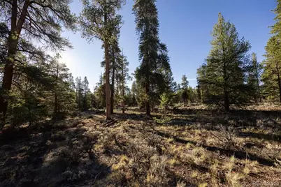 454 Spruce Drive, Leadville, CO 80461 - Photo 7