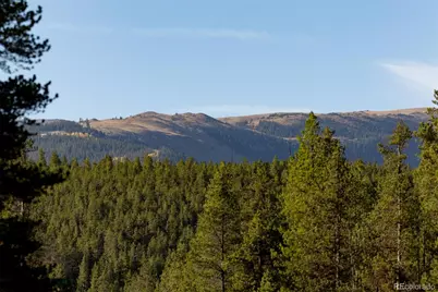 454 Spruce Drive, Leadville, CO 80461 - Photo 9
