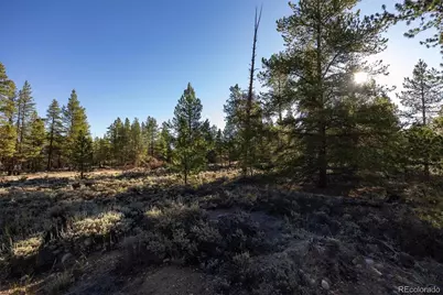 454 Spruce Drive, Leadville, CO 80461 - Photo 5