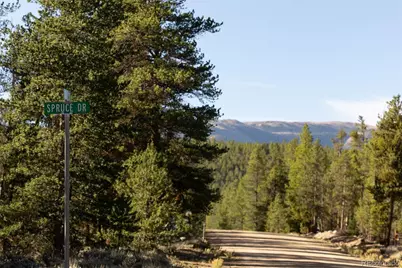 454 Spruce Drive, Leadville, CO 80461 - Photo 3
