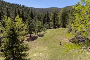 1323 S Snyder Gulch Rd, Evergreen, CO 80439 - Photo 9