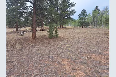 147 Bordenville Road, Jefferson, CO 80456 - Photo 19