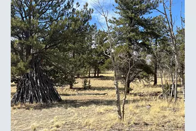 147 Bordenville Road, Jefferson, CO 80456 - Photo 3