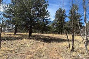 147 Bordenville Rd, Jefferson, CO 80456 - Photo 1