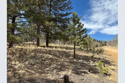 147 Bordenville Road, Jefferson, CO 80456 - Photo 9
