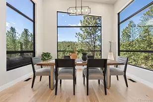 28248 Lone Elk Trl, Evergreen, CO 80439 - Photo 19