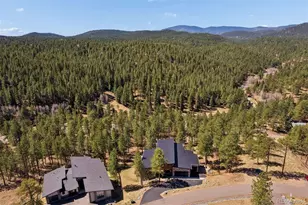 28248 Lone Elk Trl, Evergreen, CO 80439 - Photo 47